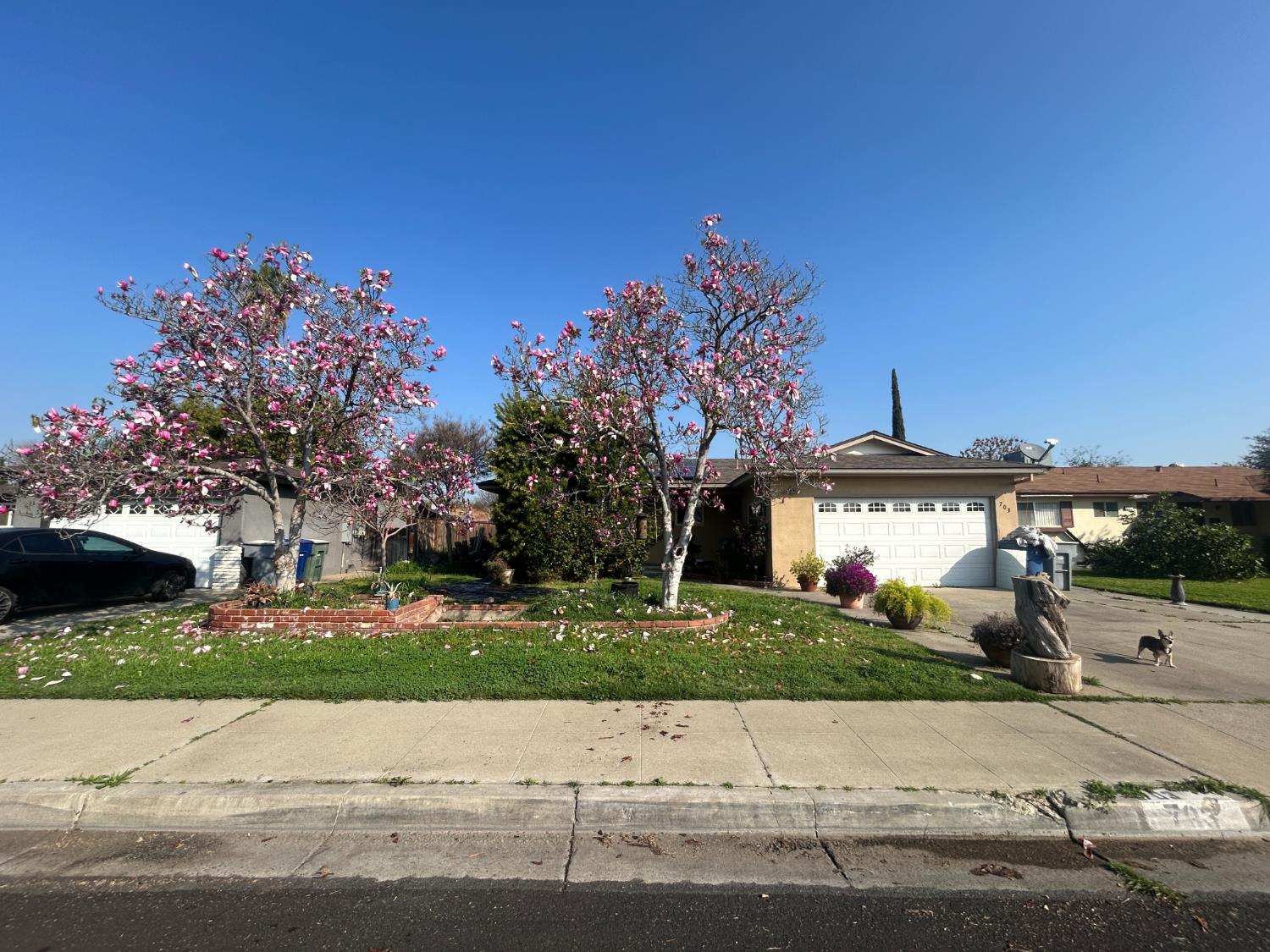 703 W Holland